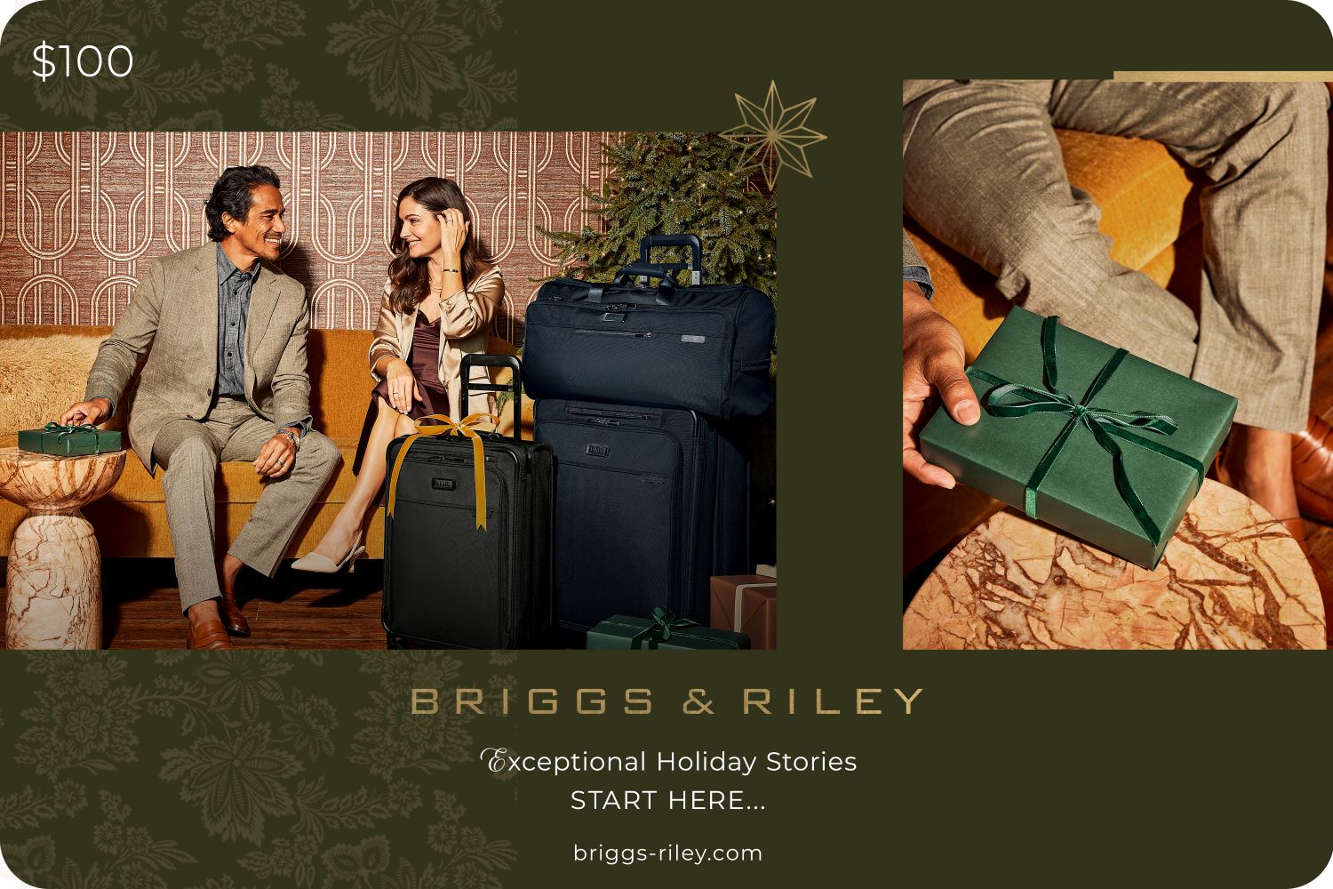 briggs & riley e-gift card $100 #price_100